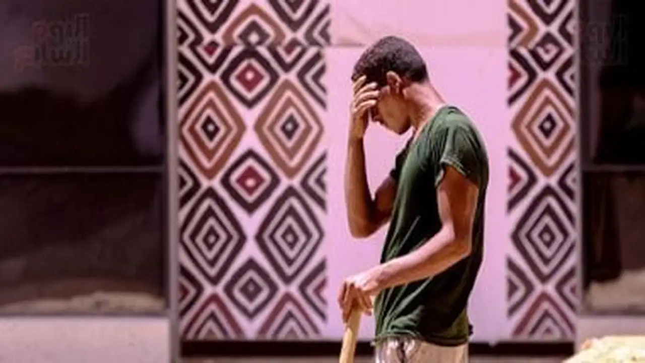 تحذير الأرصاد: ارتفاع الحرارة المحسوسة إلى 37 درجة في القاهرة اليوم